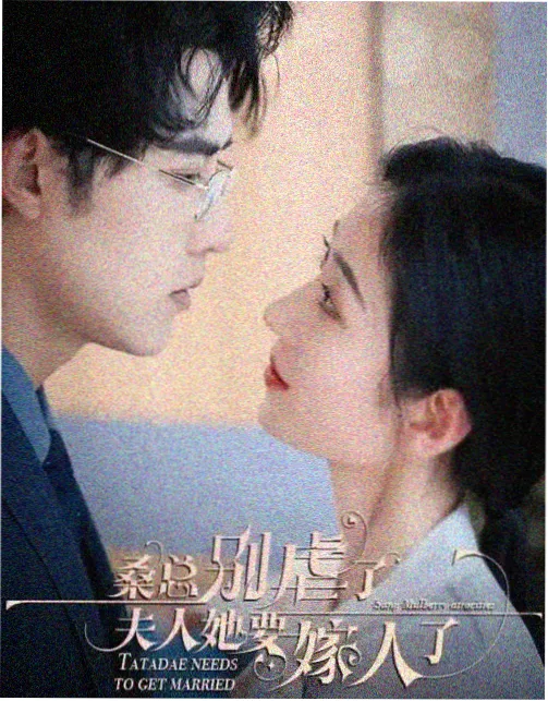山海食堂治愈剧集在线观看